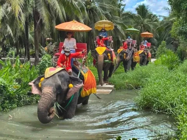 Floating Market and Elephant trekking
