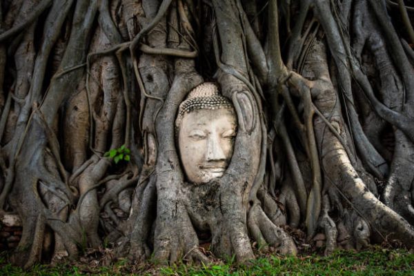Full day Floating Market and Ayutthaya